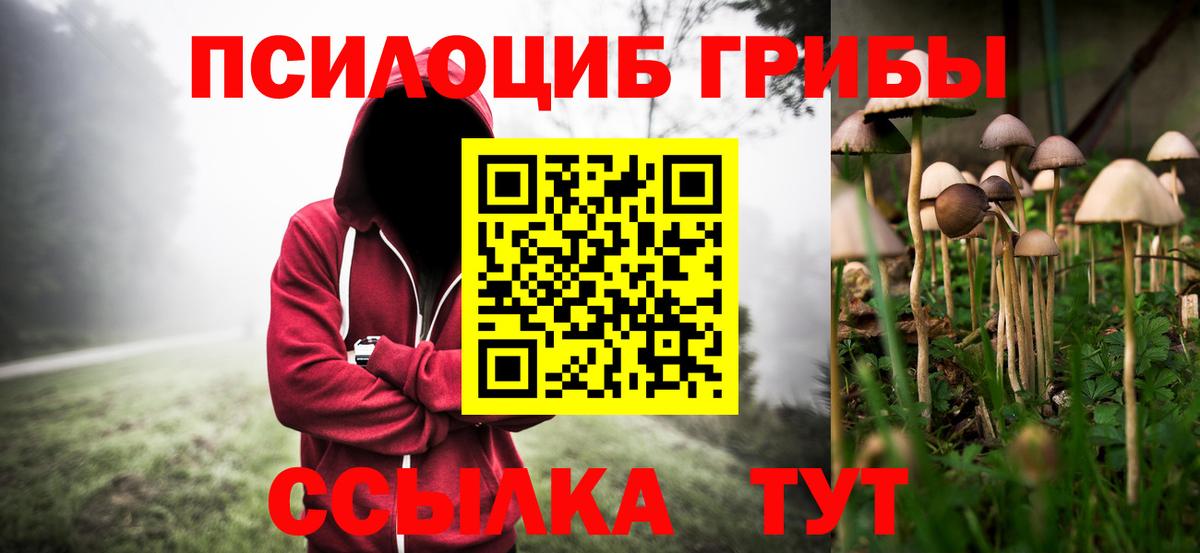 Галлюциногенные грибы GOLDEN TEACHER  Вход с VPN  Камышлов 